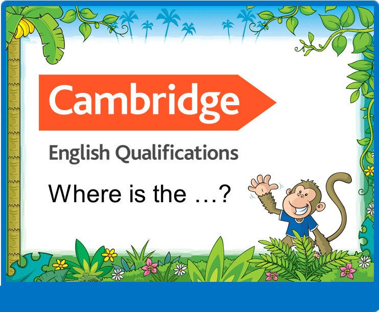 Where is the...